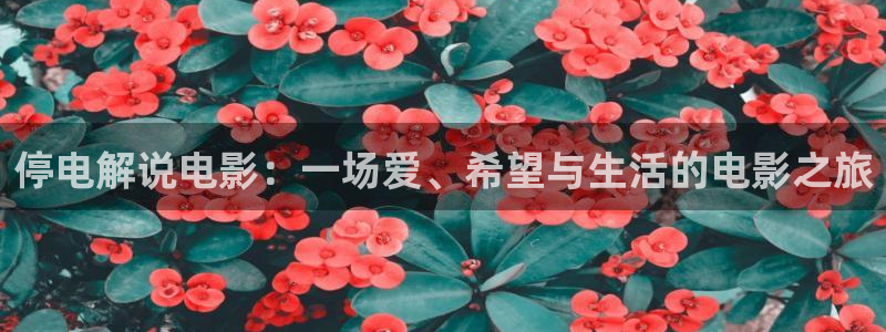 新闻图片