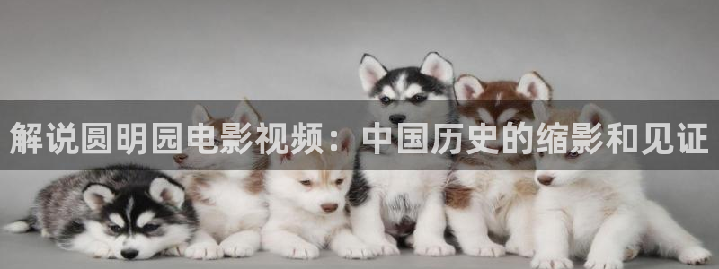新闻图片